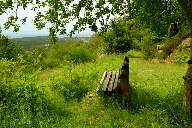 赛斯则展示 赛斯则展示