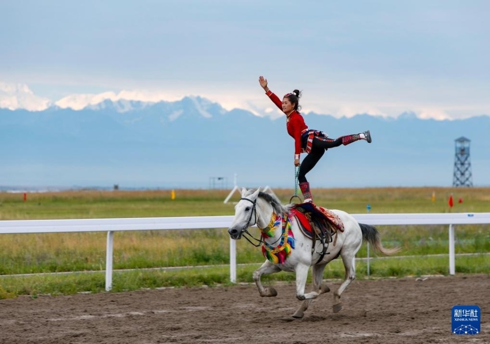 的新秀擁有 的新秀擁有