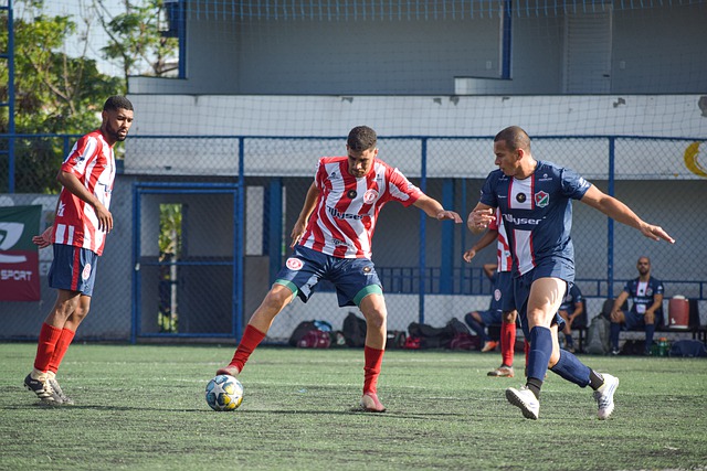 即使在引进 即使在引进